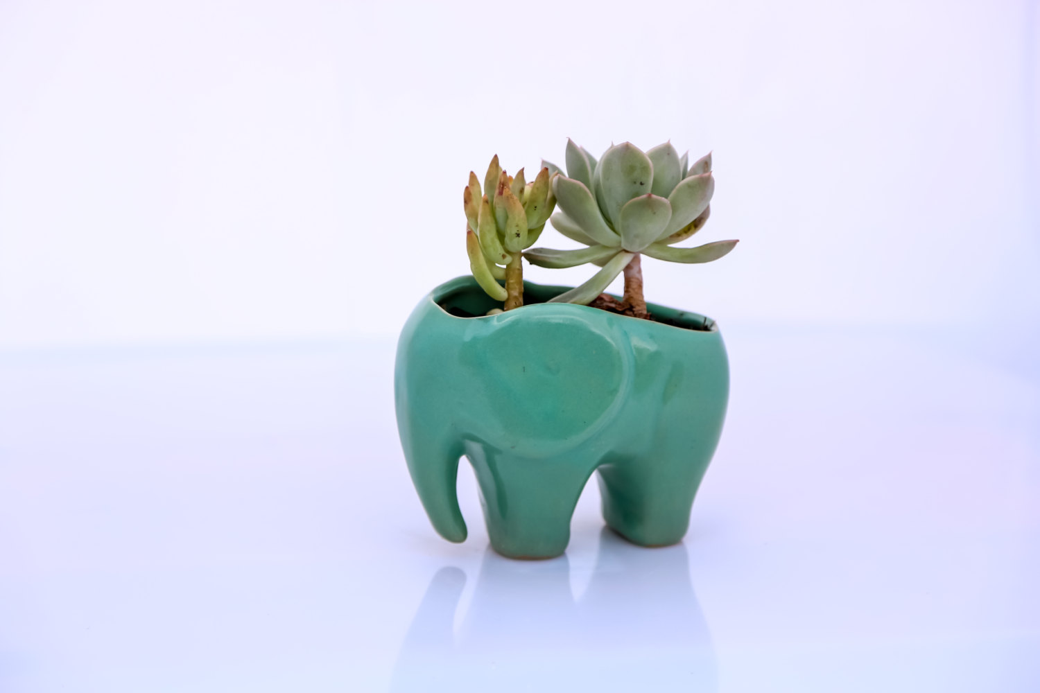 Vaso ceramica per pianta a forma di elefante keblog shop