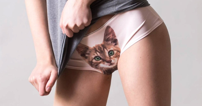 Mutande gatto 2025